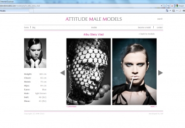 AMM - www.attitudemalemodels.com website design and programming