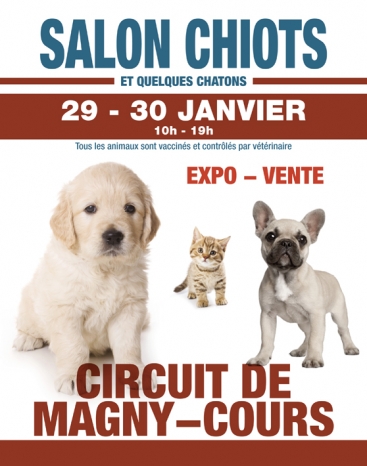 Dog Exhibition poster